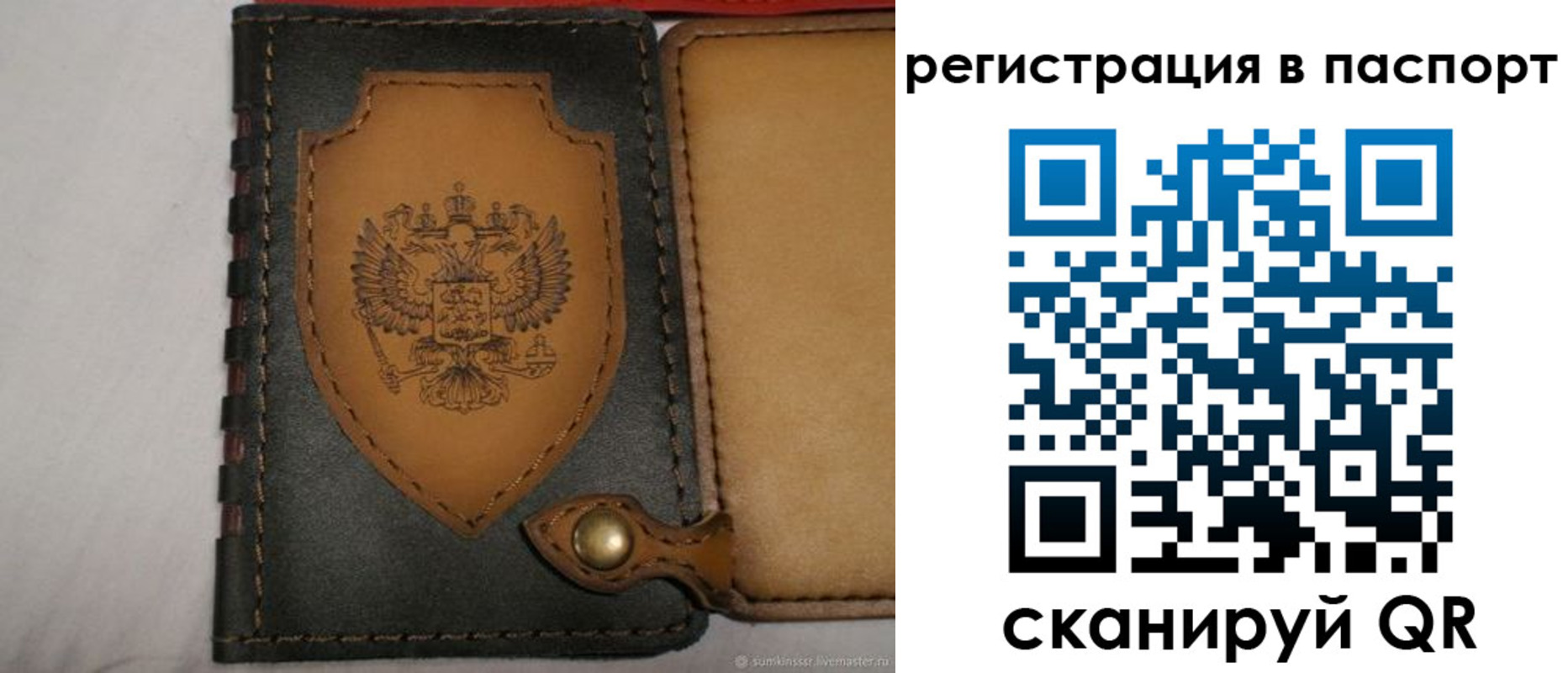 прописка поиск в Елизово