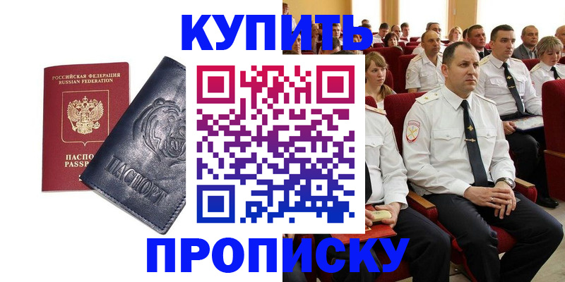 временная регистрация адрес в Елизово
